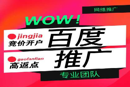 SEM广告创意与优化：成功案例分享